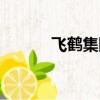 飛鶴集團上市了嗎（飛鶴集團）