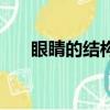 眼睛的結構與功能圖解（眼睛的結構）