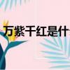 萬紫千紅是什么生肖（萬紫千紅是什么生肖）