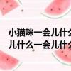 小貓咪一會兒什么一會兒什么一會兒什么(一會兒什么一會兒什么一會兒什么)