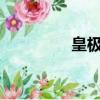 皇極天尊txt（皇極天尊）