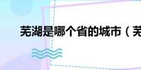 蕪湖是哪個省的城市(蕪湖是什么梗)