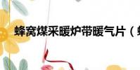 蜂窩煤采暖爐帶暖氣片(蜂窩煤采暖爐)