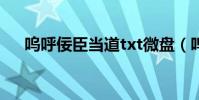 嗚呼佞臣當道txt微盤(嗚呼佞臣當道)
