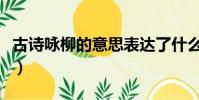 古詩詠柳的意思表達了什么(古詩詠柳的意思)