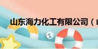 山東海力化工有限公司(山東海力化工)