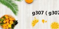 g307(g307)