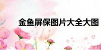 金魚屏保圖片大全大圖(金魚屏保)