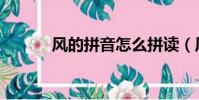 風的拼音怎么拼讀(風的拼音)
