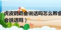 虎皮鸚鵡會說話嗎怎么教會它說話(虎皮鸚鵡會說話嗎)