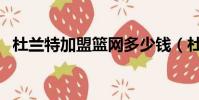 杜蘭特加盟籃網多少錢(杜蘭特加盟籃網)