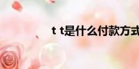 t t是什么付款方式(t t)