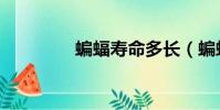 蝙蝠壽命多長(蝙蝠壽命)
