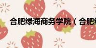 合肥綠海商務學院(合肥綠海商務學院)