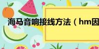 海馬音響接線方法(hm因虛假宣傳被罰)