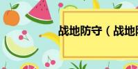 戰地防守(戰地防守)
