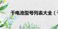 干電池型號列表大全(干電池型號)