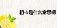 粗卡是什么意思啊(粗卡)