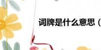 詞牌是什么意思(詞牌)