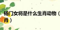 楊門女將是什么生肖動物(楊門女將是什么生肖)