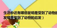 生活中還有哪些發明是受到了動物的啟發(生活中還有哪些發明是受到了動物的啟發)