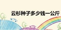 云杉種子多少錢一公斤(云杉種子)