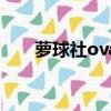 蘿球社ova（關于蘿球社ova的簡介）