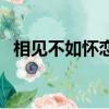 相見不如懷戀（關于相見不如懷戀的簡介）