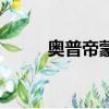 奧普帝蒙和歐普特蒙（奧普帝蒙）