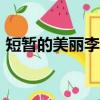 短暫的美麗李彩樺mv（短暫的美麗 李彩樺）