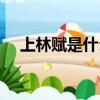 上林賦是什么體裁（上林賦是什么意思）