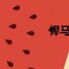 悍馬h6加長版（悍馬h6）