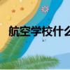 航空學校什么專業吃香（航空學校分數線）