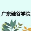 廣東硅谷學院需要什么條件（廣東硅谷學院）