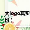 大logo真實身份是做什么的（大logo真實身份）
