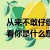 從來不敢仔細看你是什么歌詞（從來不敢仔細看你是什么歌）