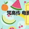 梵高傳 電影（關于梵高傳 電影的簡介）
