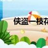 俠盜一枝花（關于俠盜一枝花的簡介）