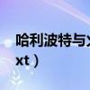 哈利波特與火焰杯推薦（哈利波特與火焰杯txt）