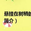懸掛在樹梢的殘骸（關于懸掛在樹梢的殘骸的簡介）
