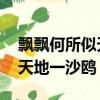飄飄何所似天地一沙鷗的作者（飄飄何所似 天地一沙鷗）