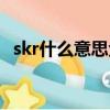 skr什么意思金融術語（skr什么意思中文）