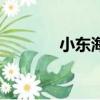 小東海（關于小東海的簡介）