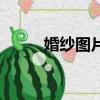 婚紗圖片（關于婚紗圖片的簡介）