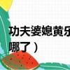 功夫婆媳黃樂宗有私生子（功夫婆媳黃樂宗去哪了）