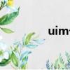 uim卡是什么東西（uim）