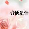 介質是什么成分（介質是什么意思）