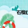 石榴紅（關于石榴紅的簡介）