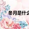 冬月是什么五行（冬月是什么意思啊）