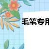 毛筆專用紙的類型（毛筆專賣店）
